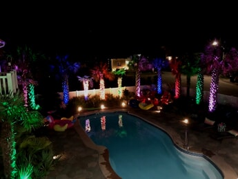 palm tree lights in LED color lights